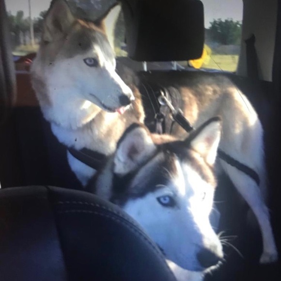 Meet your Posher, V. A. Reyes - Picture 5 of 9